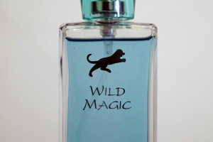 Wild Magic 1